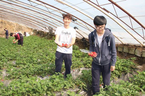 感知中国文化，体验采摘乐趣 