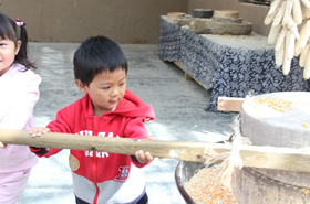 桔子宝宝农业嘉年华寻宝！