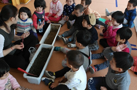 春日暖阳种植忙！