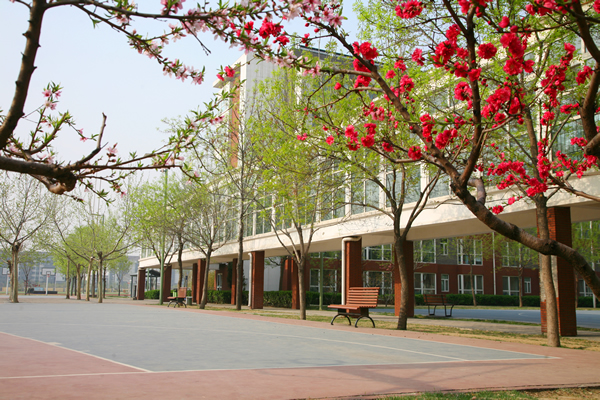 剑桥中心周末留校规定