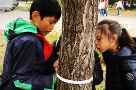 让数学知识触摸到生活