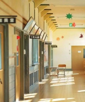 朱永新：怎样布置你的“教室王国”