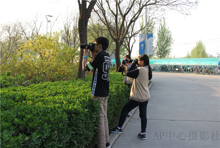 芬芳校园之满园春色