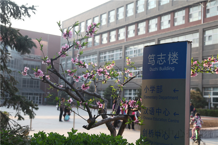 芬芳校园之满园春色