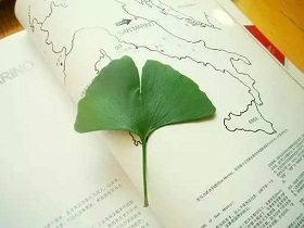 李希贵：平台思维下的教师成长