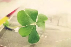 心理咨询---致教师的一份礼物