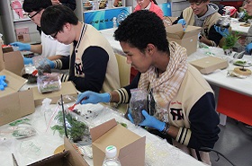 指尖上的花花世界