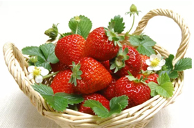 相约春天：从诗词走向田园