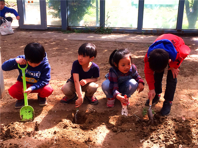预备班“下地”活动开始啦