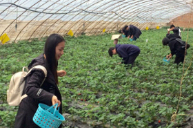 相约春天：从诗词走向田园