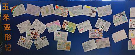 我和玉米有个约会