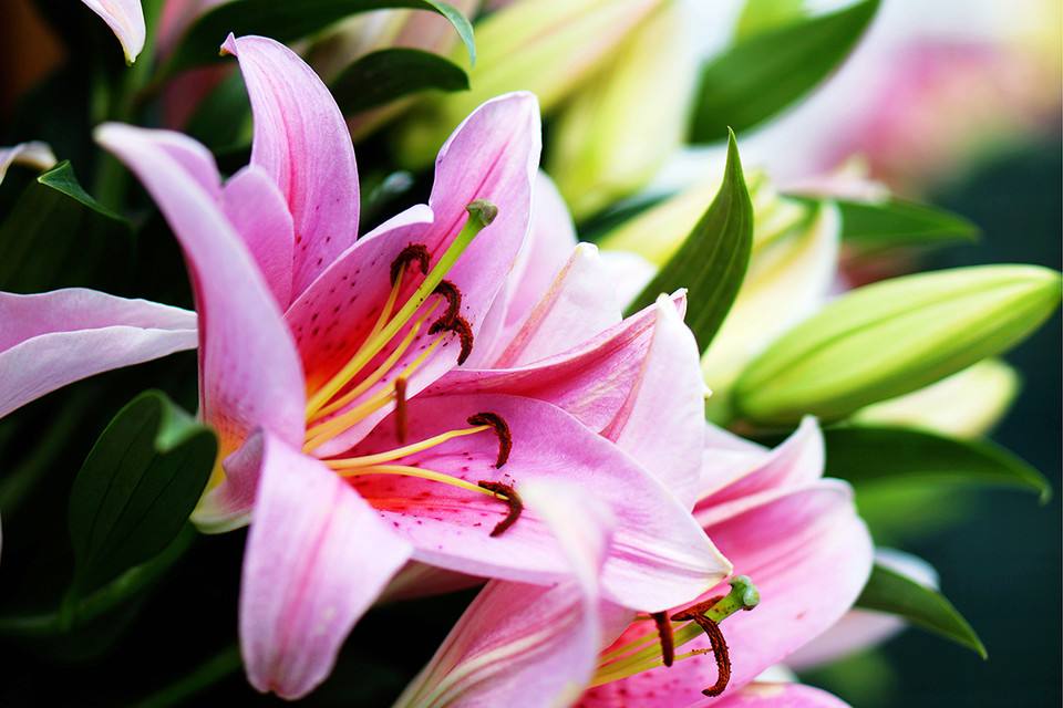 给妈妈最好的礼物：剑桥学子302封预录献礼女神节 