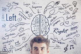 “同一律、矛盾律、排中律”，三大定律，逻辑思维能力的底层框架