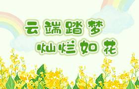 云端踏梦，灿烂如花
